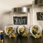 Fleurs CBD